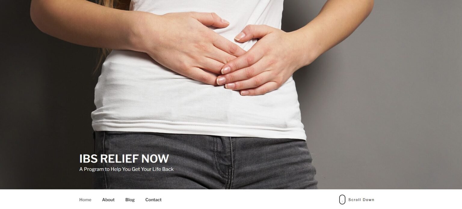 Ibs Relief Now Website Screenshot